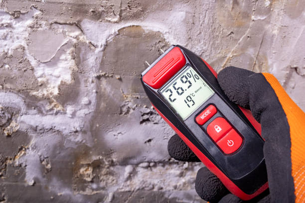 Trusted Rocky River, OH Mold Removal Experts