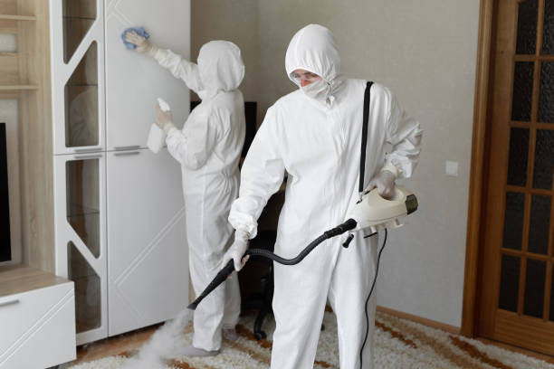 Best Certified Mold Removal  in Rocky River, OH